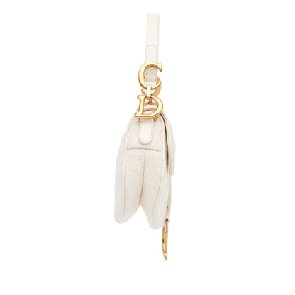Dior Mini Oblique Saddle (SHG-4KTFrz)