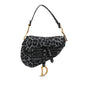 Dior Mizza Embroidered Canvas Leopard Saddle Bag