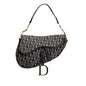 Dior Oblique Canvas Saddle (SHG-yGP2np)