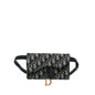 Dior Oblique Saddle Belt Bag (SHG-VkBsl2)