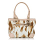 Dior Saint Tropez Canvas Handbag (SHG-34115)