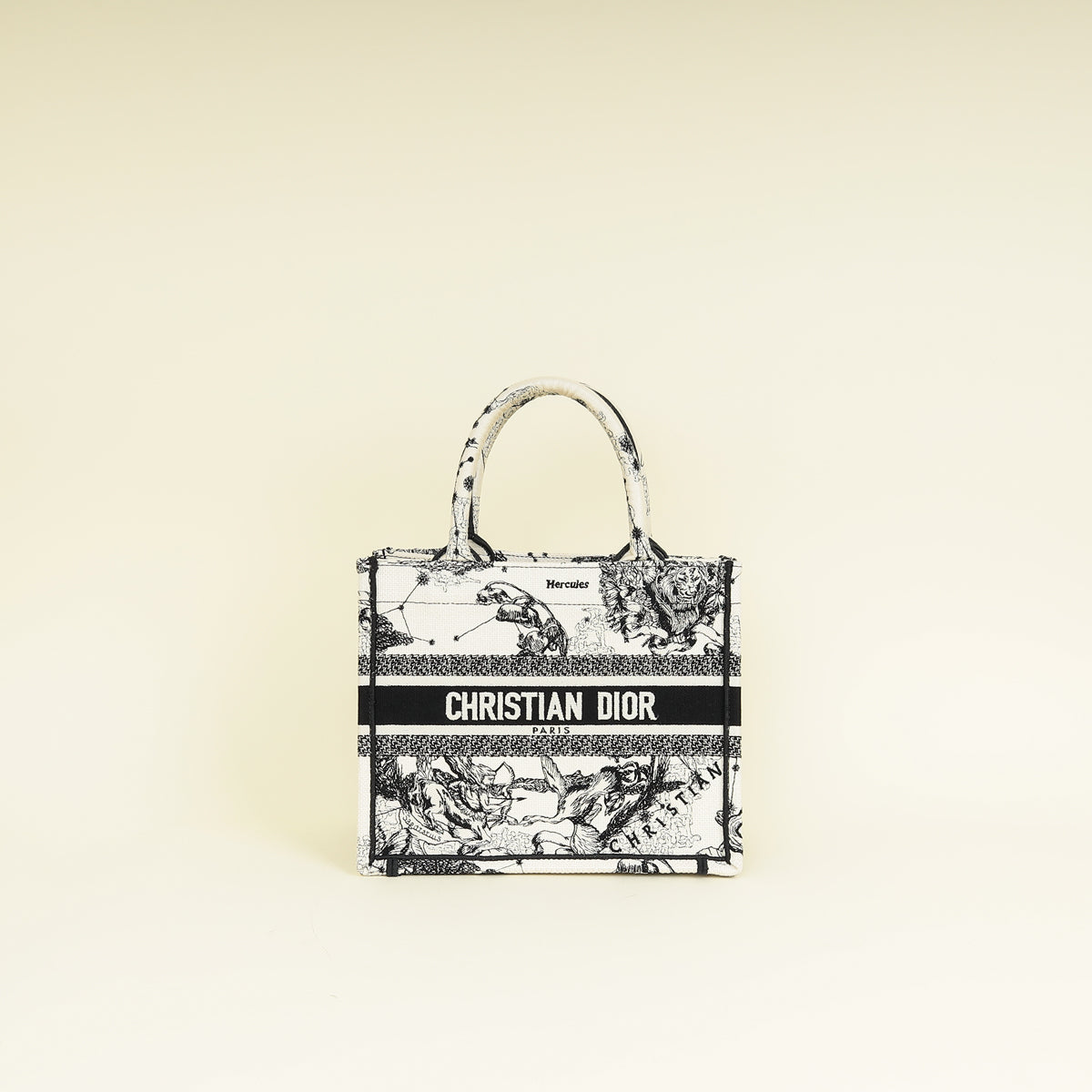 Dior Book Tote Leather Tote Bag Style 43