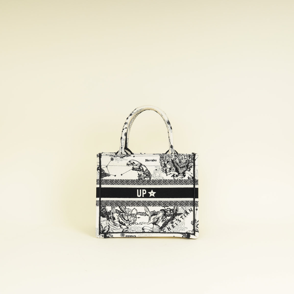 Dior Book Tote Leather Tote Bag Style 43