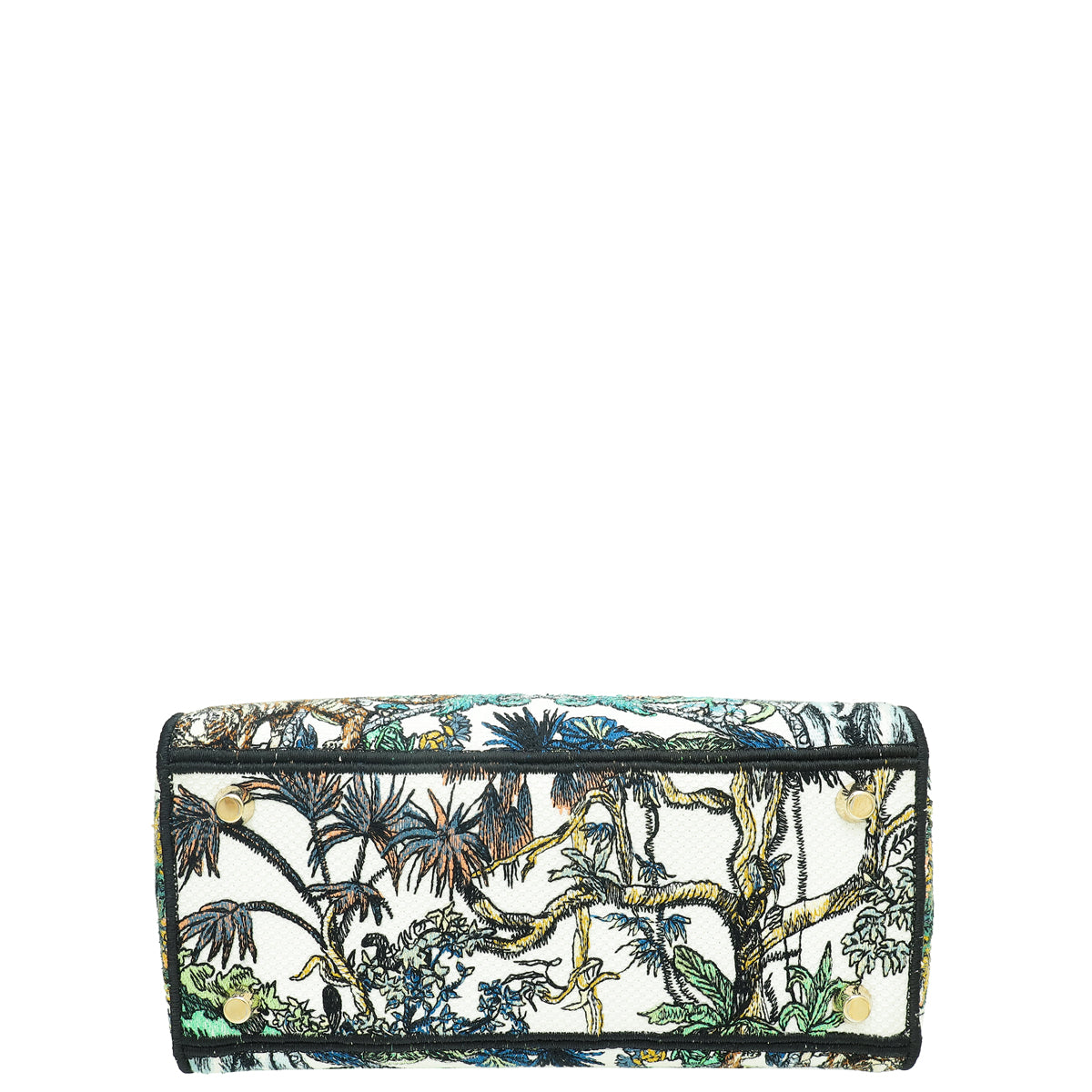 Christian Dior Multicolor Étoile De Voyage Embroidery Lady D-Lite Medium Bag