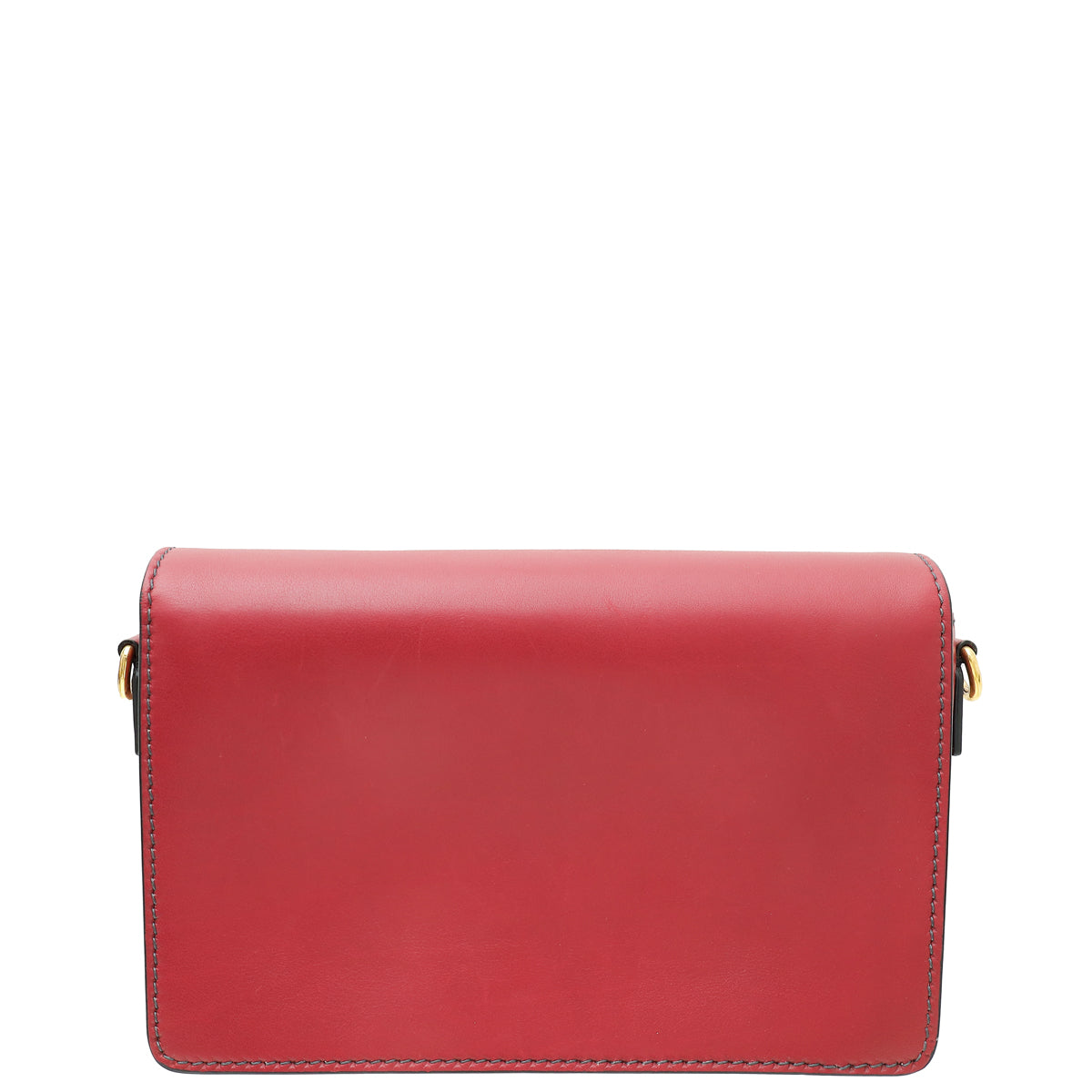 Christian Dior Burgundy Dio R Evolution Flap Bag