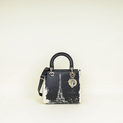 Christian Dior Bicolor Lady Dior Paris Print And Rhinestone Embroidery Medium Bag