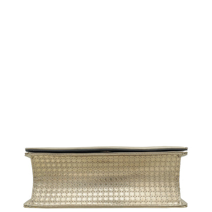 Christian Dior Champaign Diorama Microcannage Medium Bag