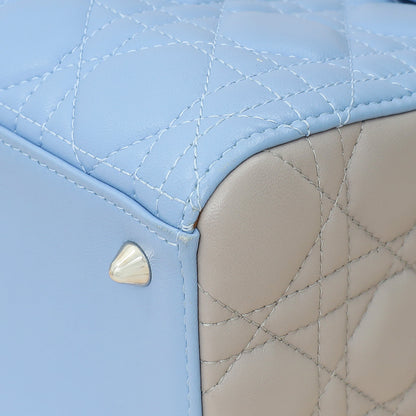 Dior Lady Dior Leather Handbag Style 72