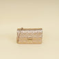 Christian Dior Metallic Bronze Miss Dior Promenade Pouch