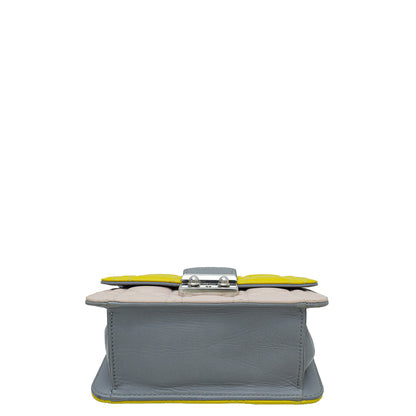 Christian Dior Tricolor Miss Dior Chain Pouch