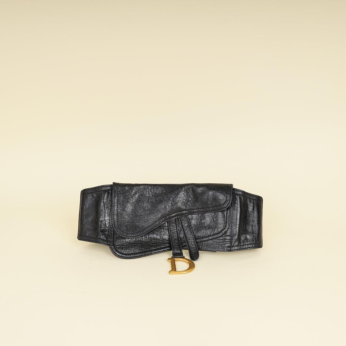 Dior Saddle Leather Crossbody Style 54