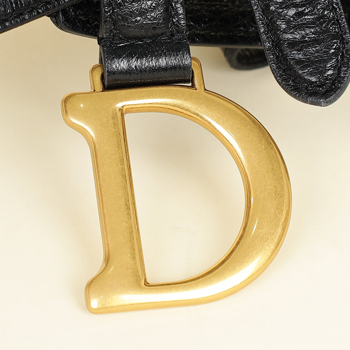 Dior Saddle Leather Crossbody Style 54