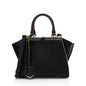 Fendi Leather Petite 2Jours Tote (SHF-20185)