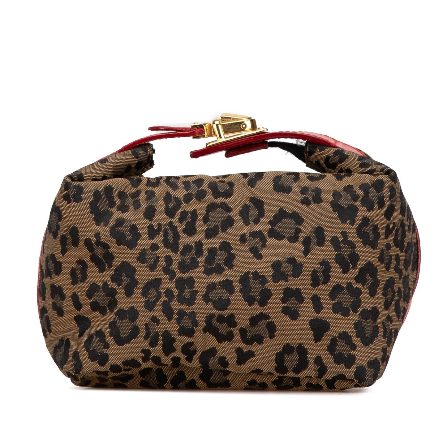 Fendi Leopard Print Canvas Handbag Shg-K1Hjde
