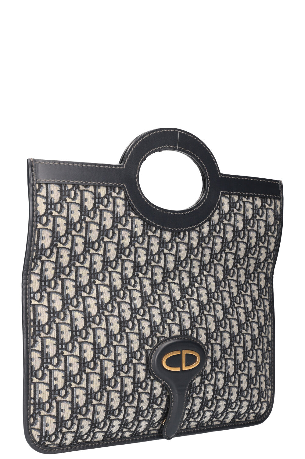 Dior Mini Canvas Tote Bag
