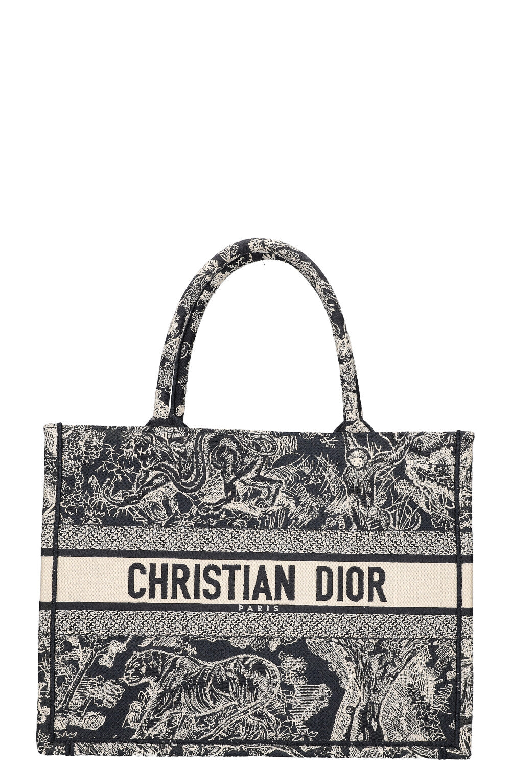 Christian Dior Book Tote Blue White