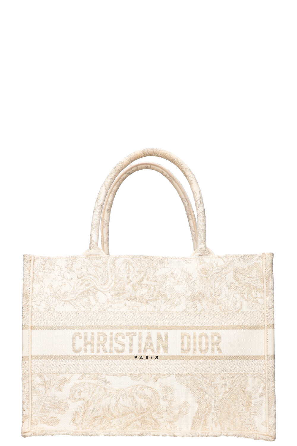 Dior Book Tote Mini Canvas Tote Bag