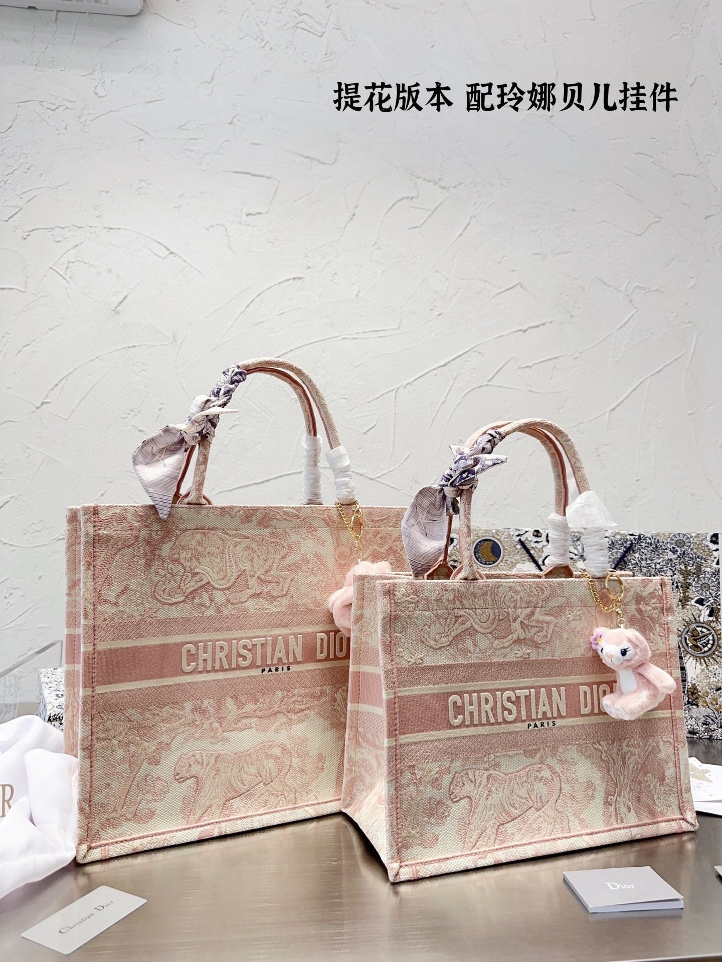Dior Book Tote Tote Bag