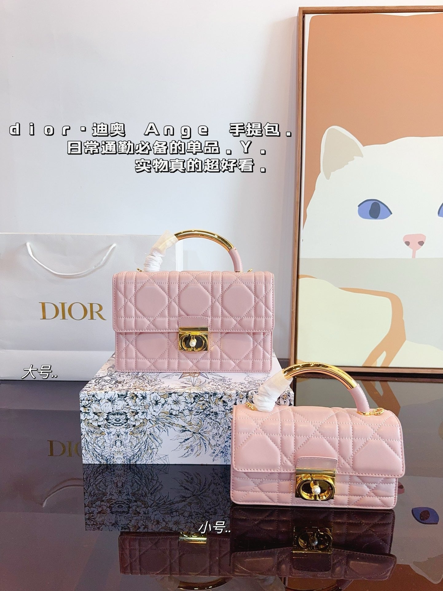 Dior Chain Leather Crossbody Bag