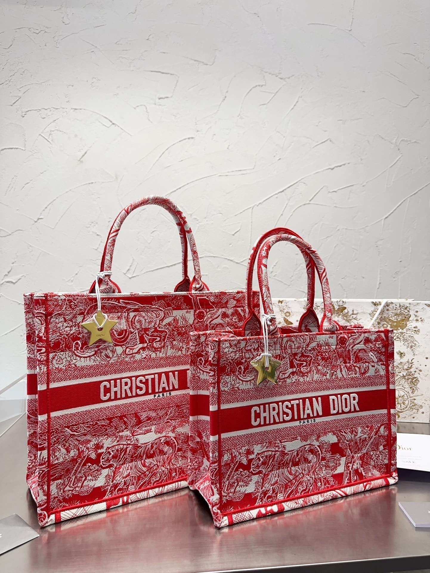 Dior Book Tote Tote Bag