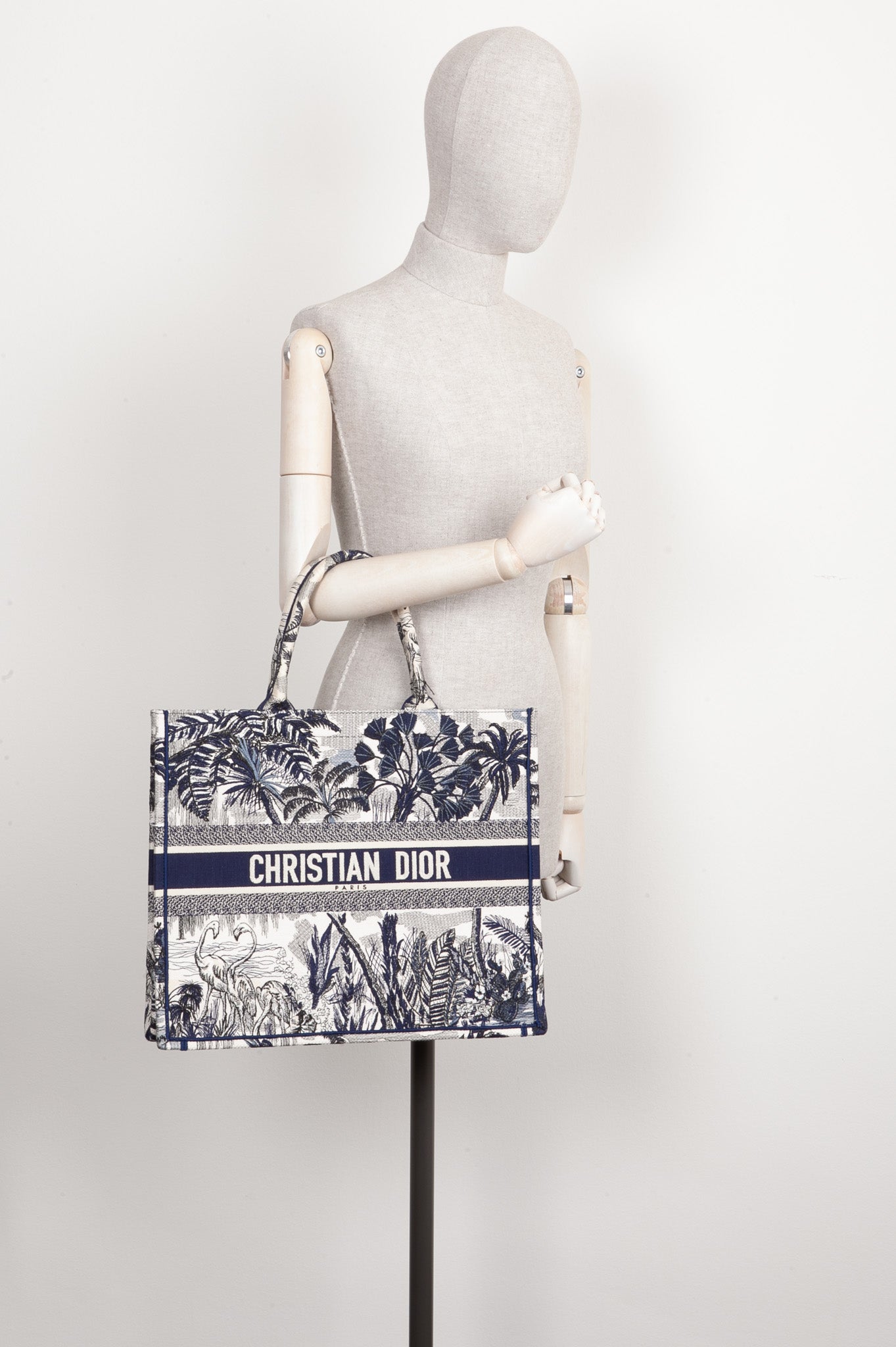 Dior Book Tote Canvas Tote Bag