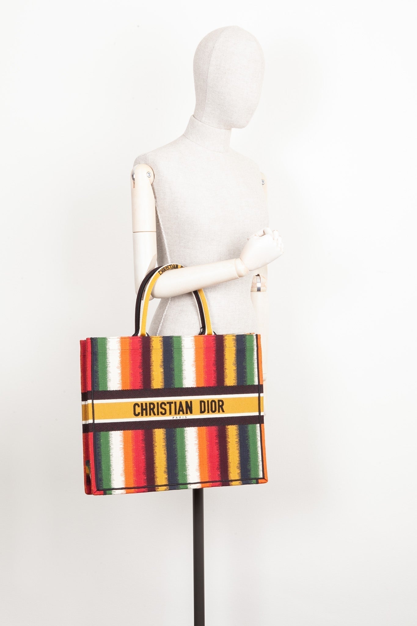 Dior Book Tote Canvas Tote Bag