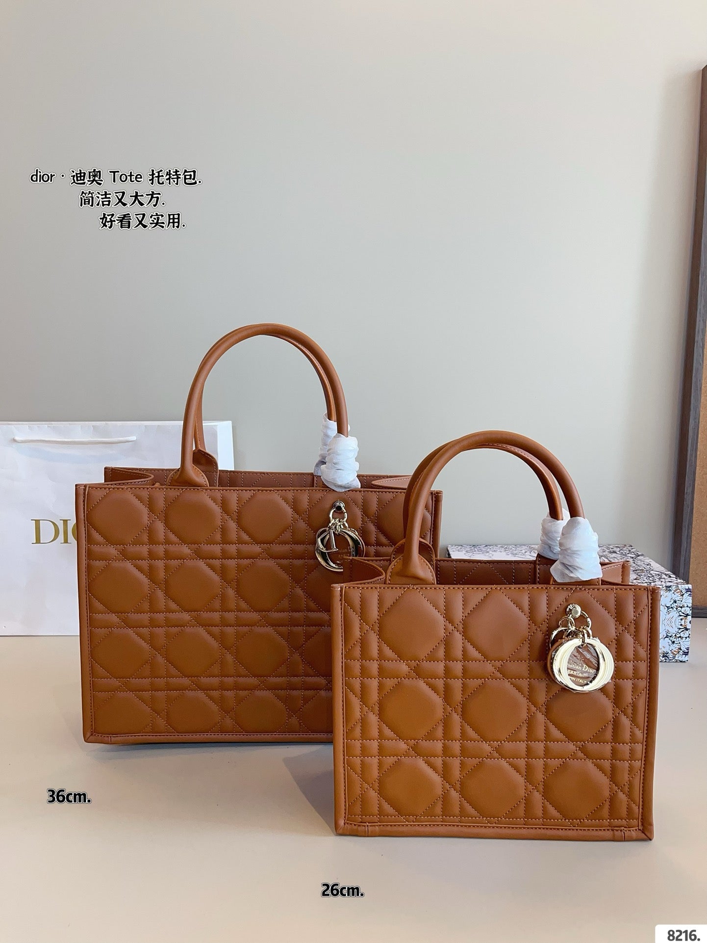 Dior Book Tote Tote Bag