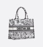 Dior Book Tote Tote Bag