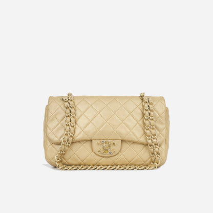 Chanel Seasonal Flap - Champagne Gold