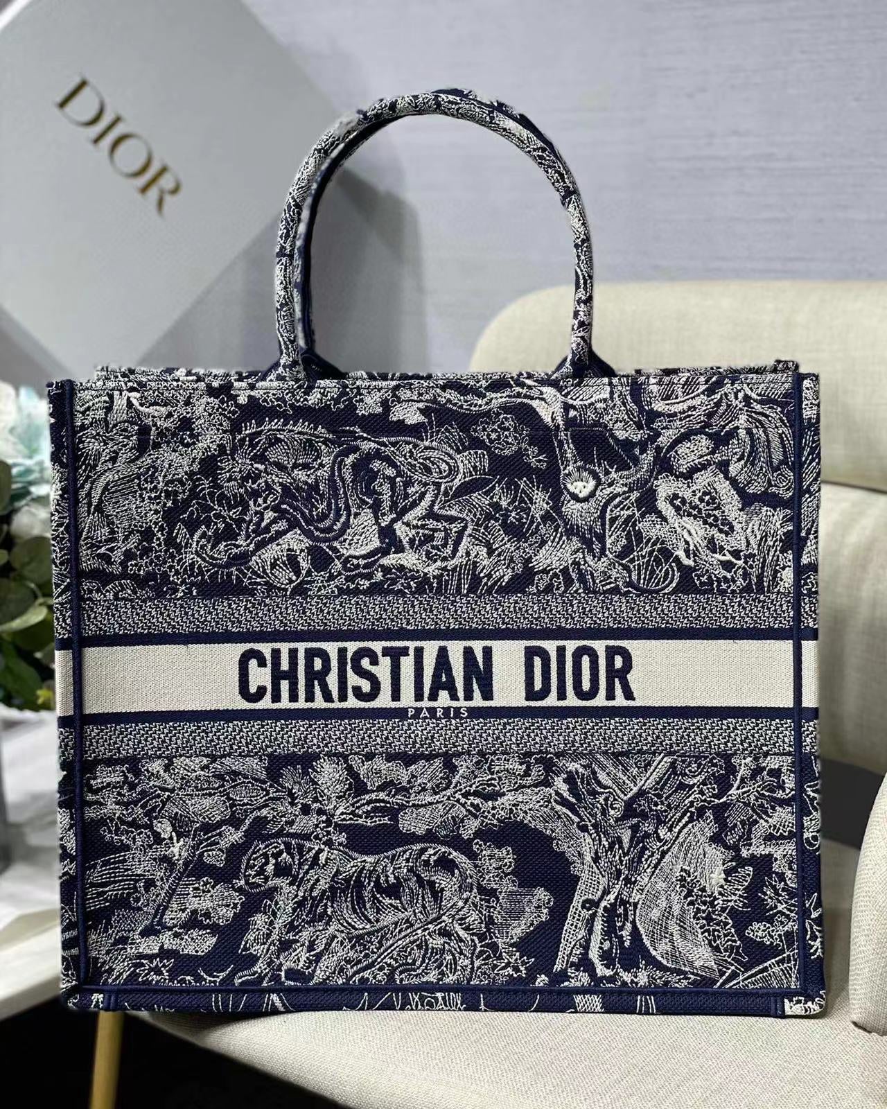 Dior Book Tote Tote Bag