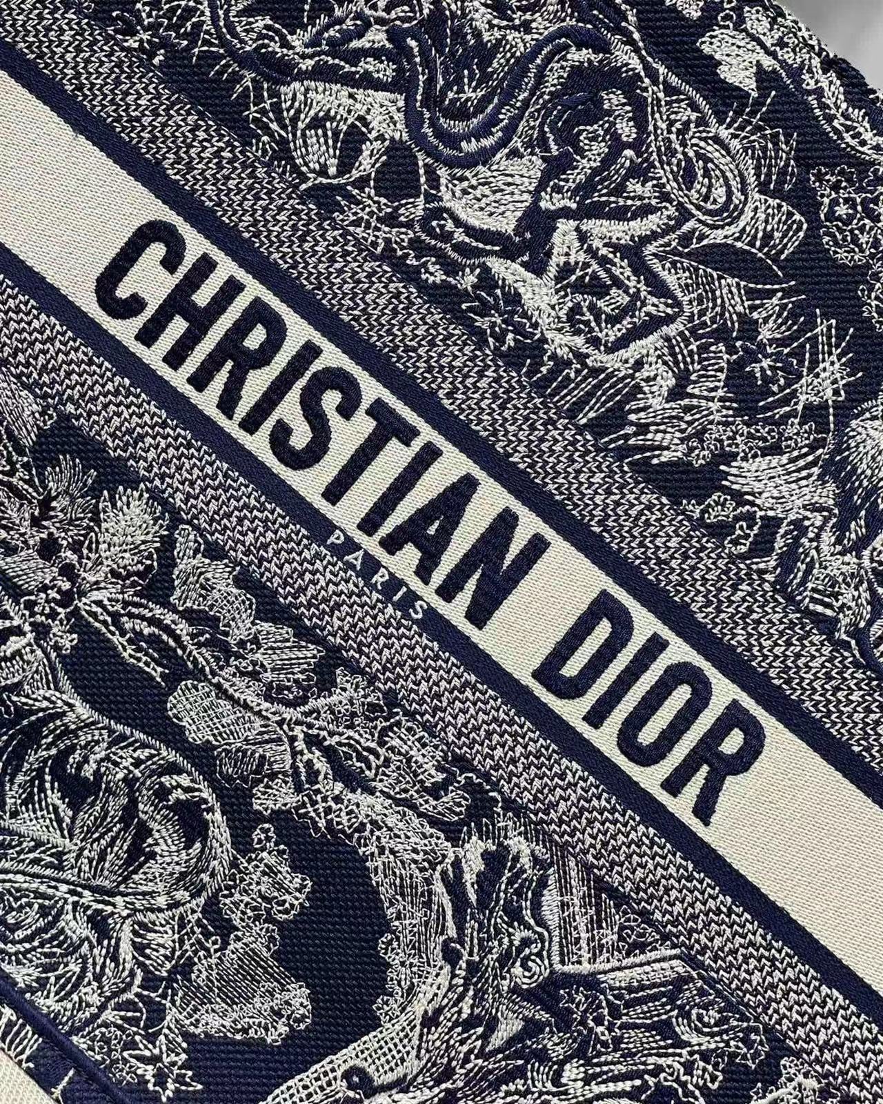 Dior Book Tote Tote Bag