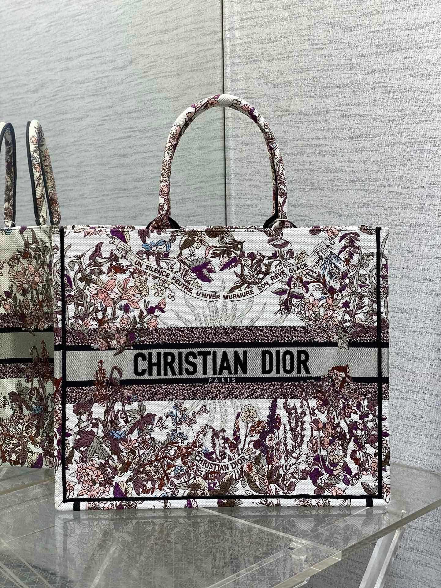 Dior Book Tote Tote Bag