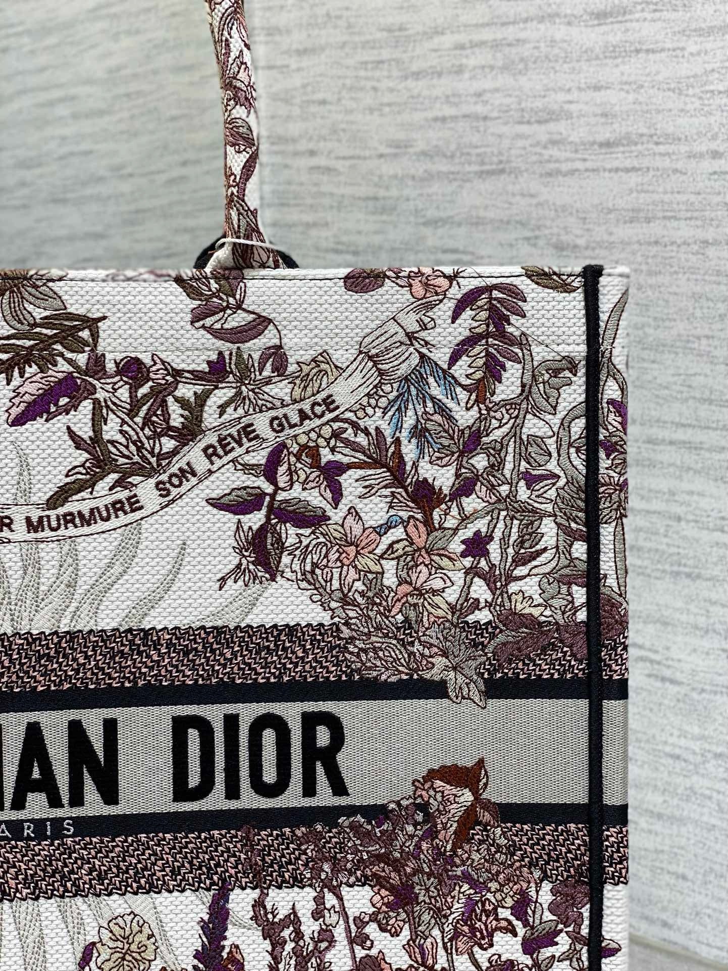 Dior Book Tote Tote Bag