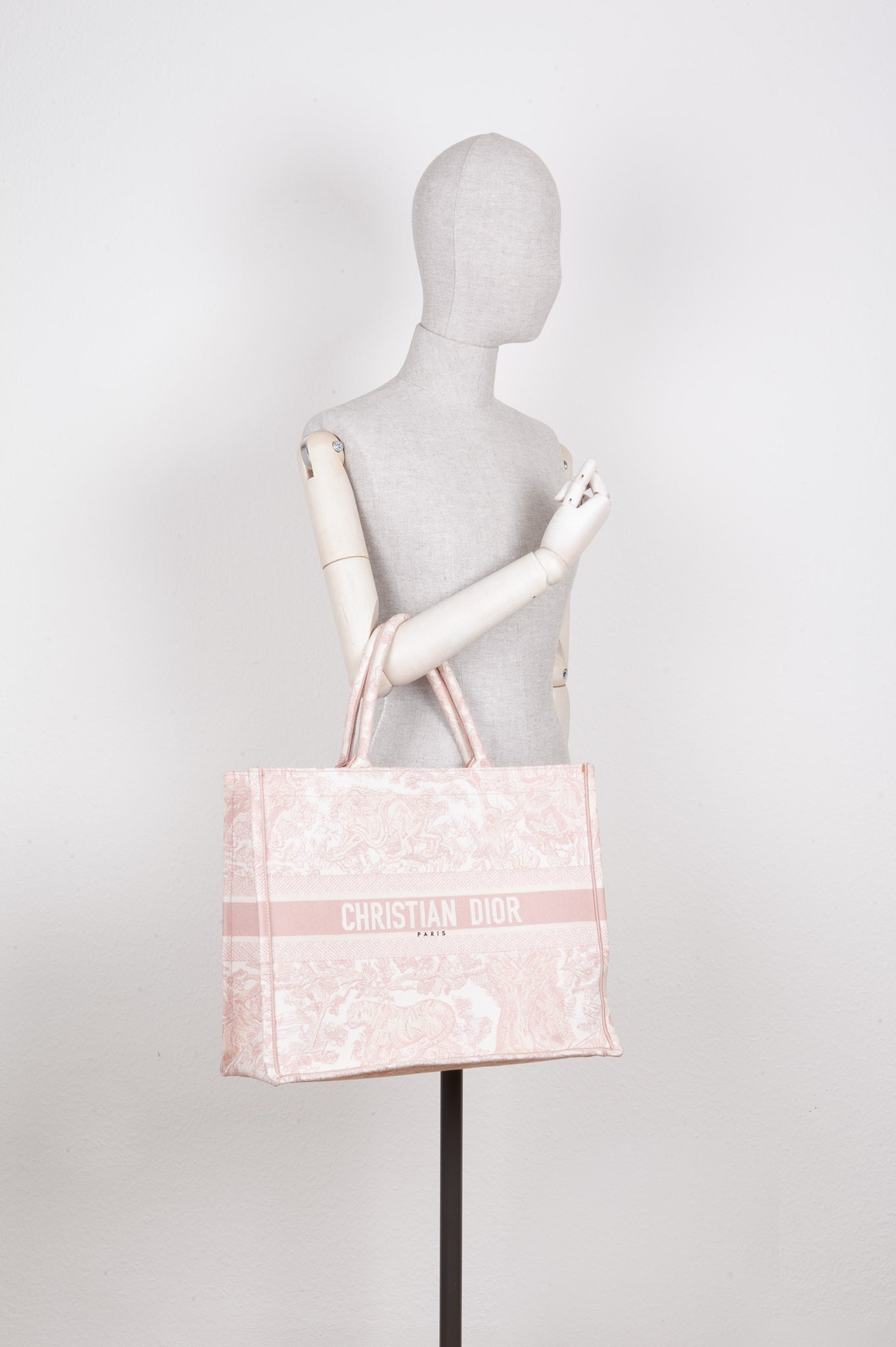 Dior Book Tote Mini Canvas Tote Bag