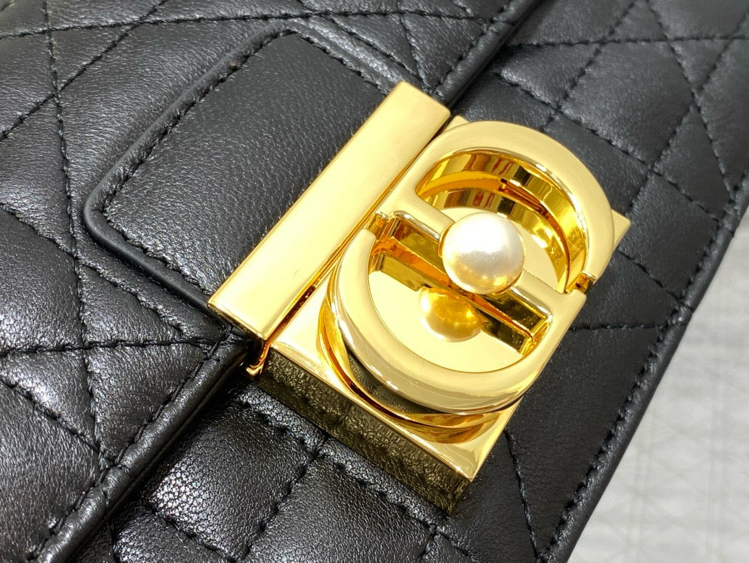Dior Chain Leather Crossbody Bag