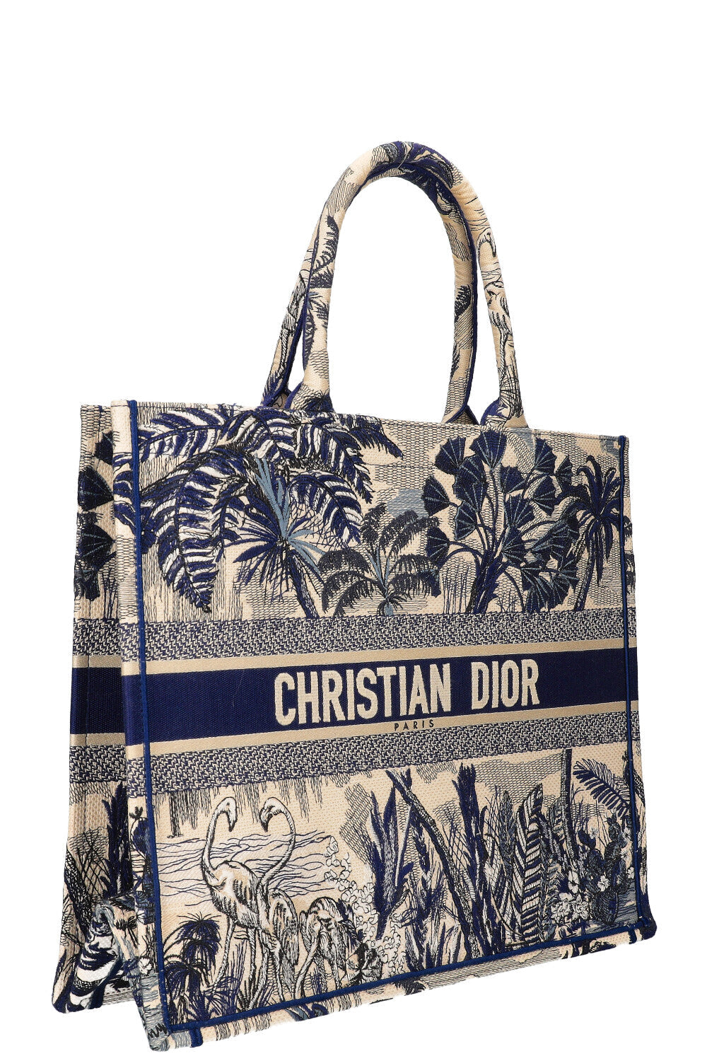 Dior Book Tote Canvas Tote Bag