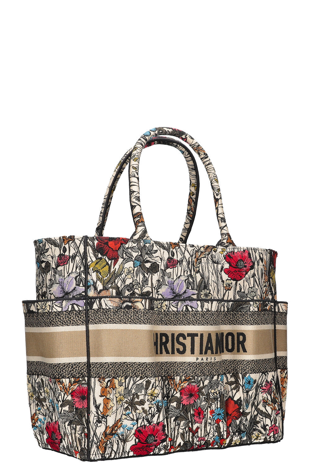 Dior Book Tote Canvas Tote Bag