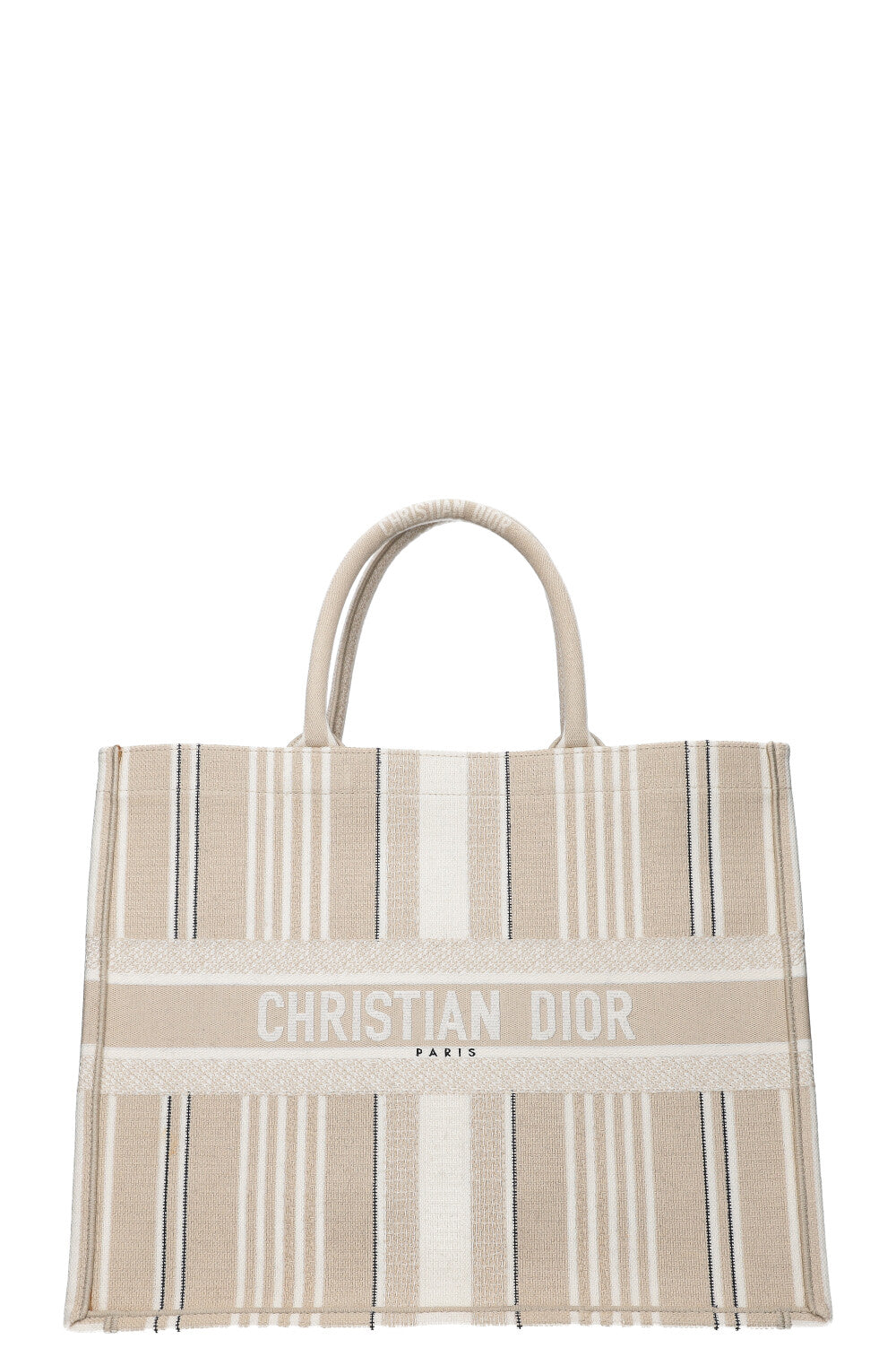 Dior Book Tote Mini Canvas Tote Bag