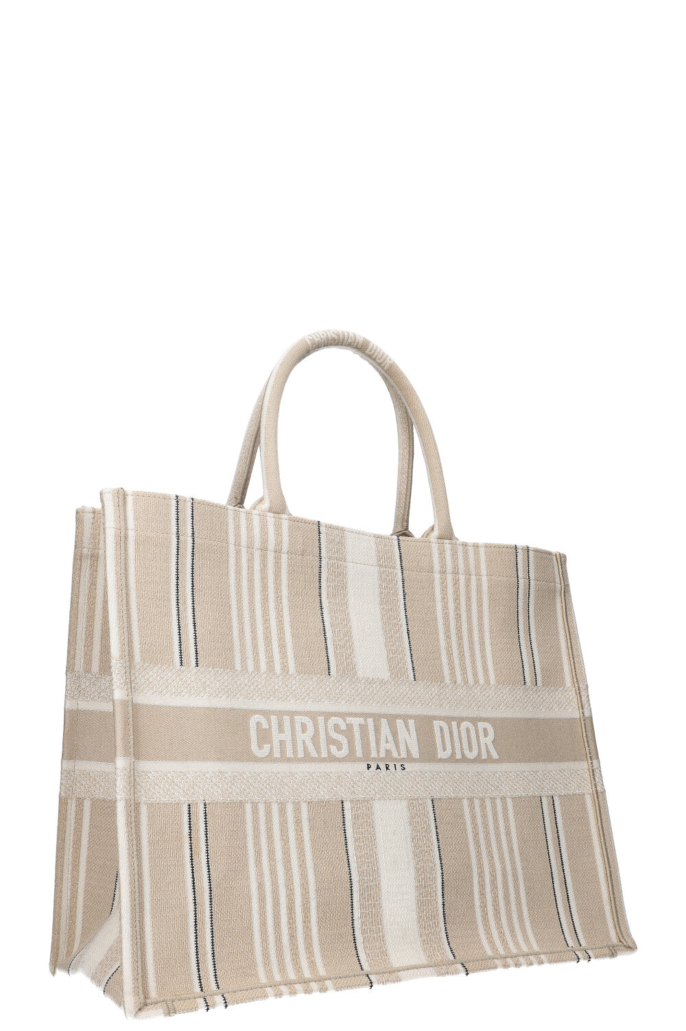 Dior Book Tote Mini Canvas Tote Bag