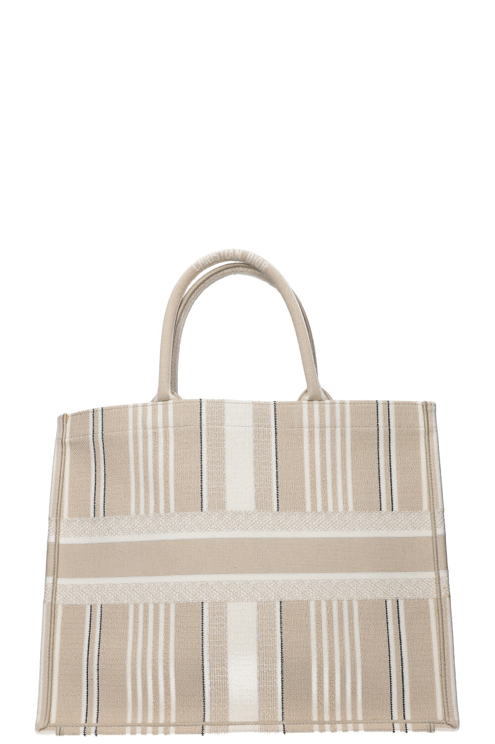 Dior Book Tote Mini Canvas Tote Bag