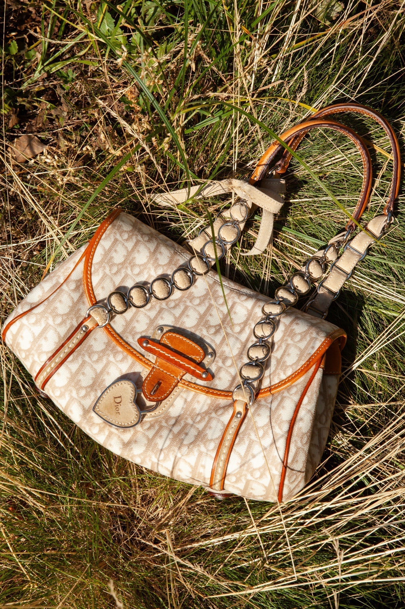 Dior Designer Shoulder Bag