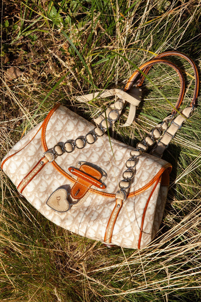 Dior Designer Shoulder Bag