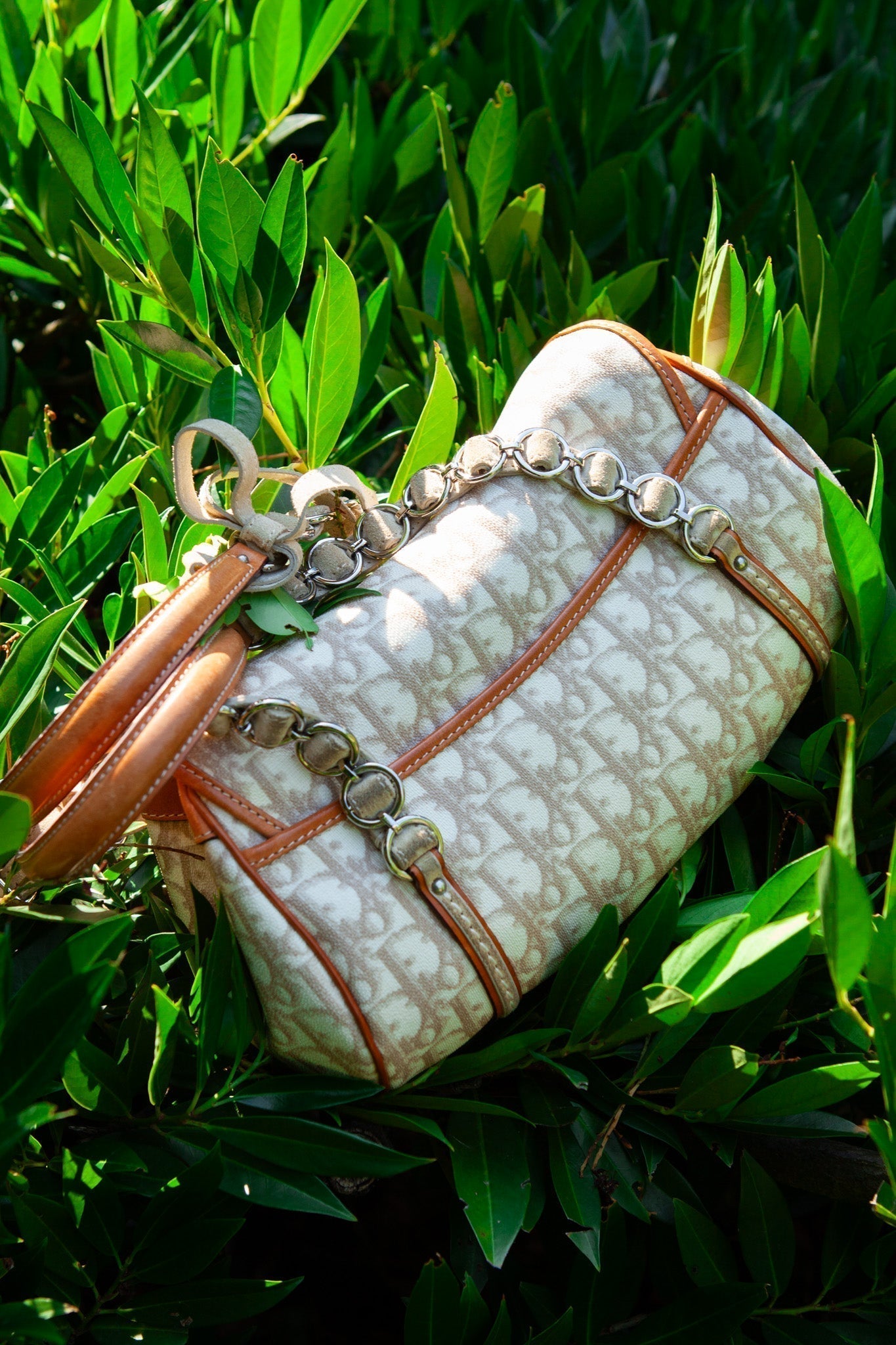 Dior Designer Shoulder Bag