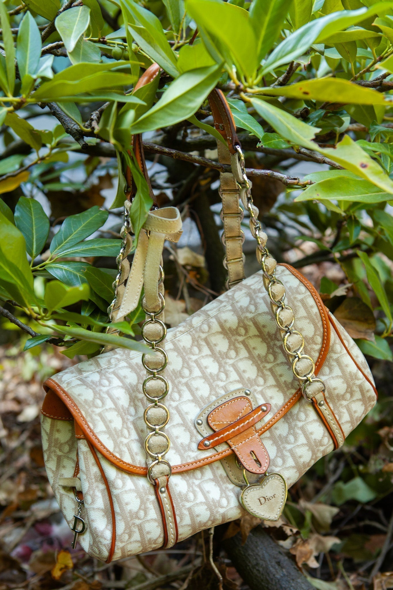 Dior Designer Shoulder Bag