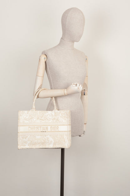 Dior Book Tote Mini Canvas Tote Bag
