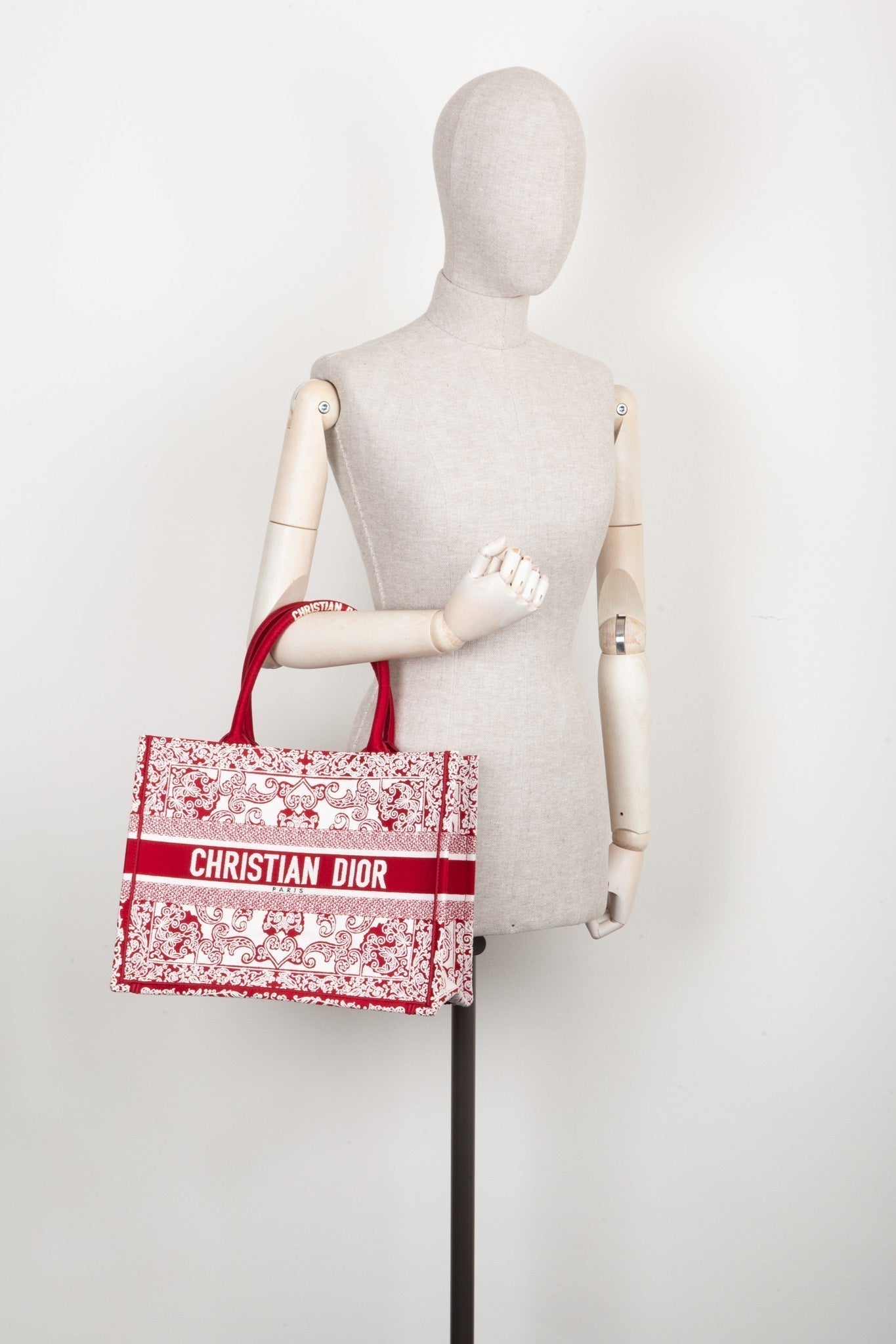Dior Book Tote Mini Canvas Tote Bag