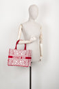 Dior Book Tote Mini Canvas Tote Bag
