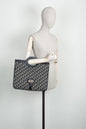 Dior Mini Canvas Tote Bag
