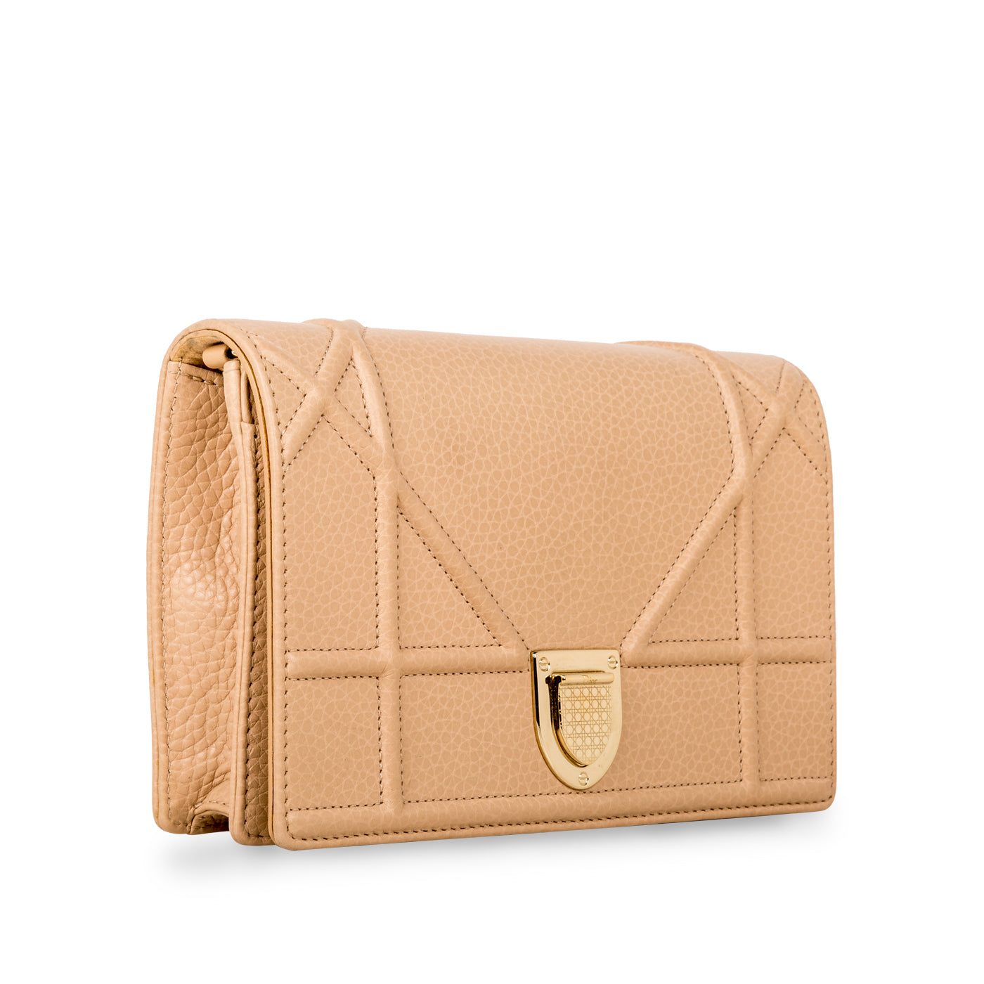 Dior Lou Chain Leather Tote Bag