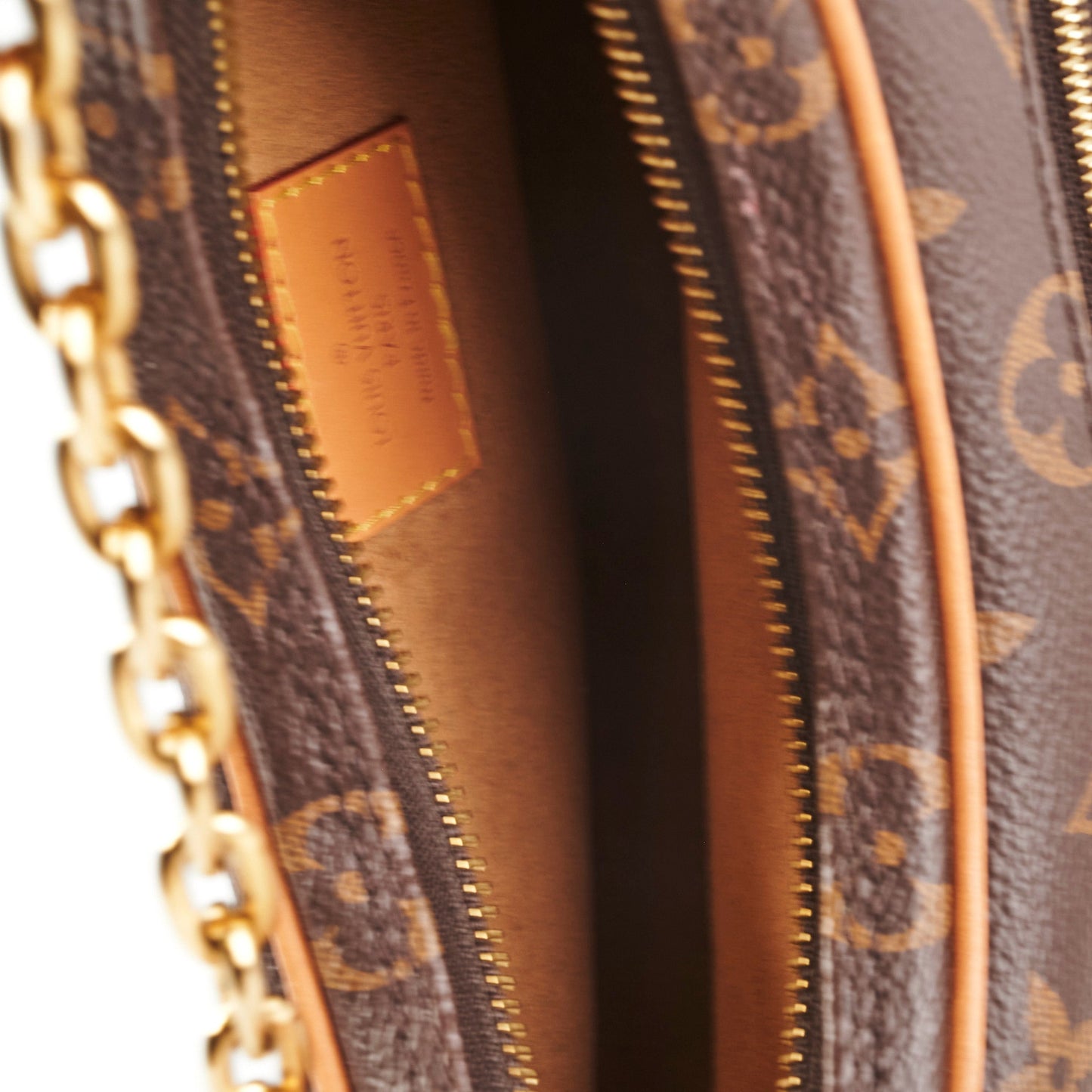Louis Vuitton Loop Monogram Bag